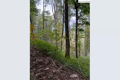 Lot 74A Tbd Poplar Trail, Creston, NC 28615 - Photo 2