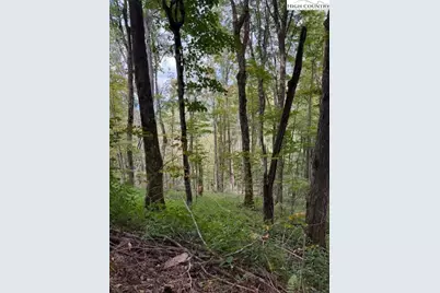 Lot 74A Tbd Poplar Trail, Creston, NC 28615 - Photo 1