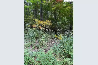 Lot 770 Tbd Ivy Court, Creston, NC 28615 - Photo 2