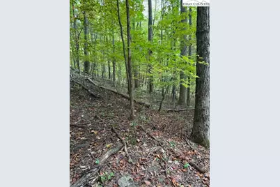 Lot 770 Tbd Ivy Court, Creston, NC 28615 - Photo 4