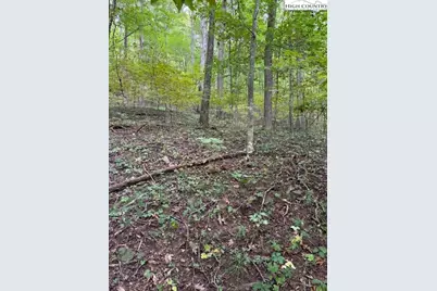 Lot 770 Tbd Ivy Court, Creston, NC 28615 - Photo 6