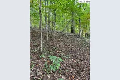 Lot 770 Tbd Ivy Court, Creston, NC 28615 - Photo 1