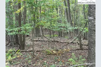 Tbd Parsons Hill Road, Lansing, NC 28643 - Photo 6