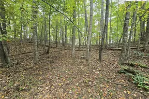 Tbd Parsons Hill Rd, Lansing, NC 28643 - Photo 1