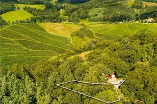 490 Laurelwood Ln, Boone, NC 28607 - Photo 42