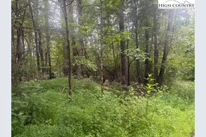 Tbd Longview Drive, West Jefferson, NC 28694 - Photo 2