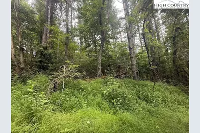 Tbd Longview Drive, West Jefferson, NC 28694 - Photo 1