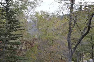 2164 River Bend Rd, Mouth of Wilson, VA 24363 - Photo 46