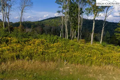 146 Banner Glade Trail, Banner Elk, NC 28604 - Photo 4