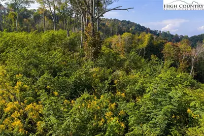 146 Banner Glade Trail, Banner Elk, NC 28604 - Photo 24