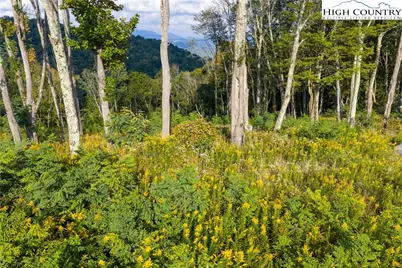 146 Banner Glade Trail, Banner Elk, NC 28604 - Photo 14