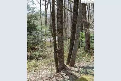 439 Locust Road, Newland, NC 28657 - Photo 1