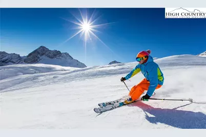 419 Snow Cloud Drive, Banner Elk, NC 28604 - Photo 28