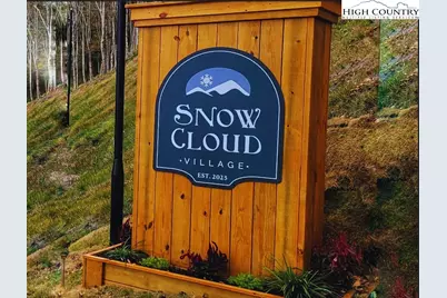 419 Snow Cloud Drive, Banner Elk, NC 28604 - Photo 34