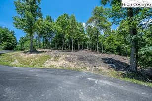 Lot 81 Tbd Bear Creek Rd, Elk Park, NC 28622 - Photo 1