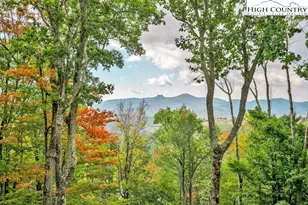 906 Fox Meadow Rd, Banner Elk, NC 28604 - Photo 4