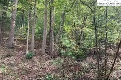 Tbd Walnut Hills Circle, Crumpler, NC 28617 - Photo 4