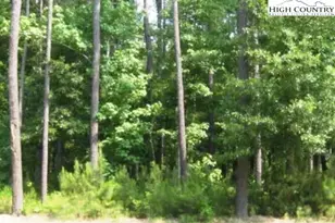 131 Indian Town Creek Dr, Hertford, NC 27944 - Photo 1