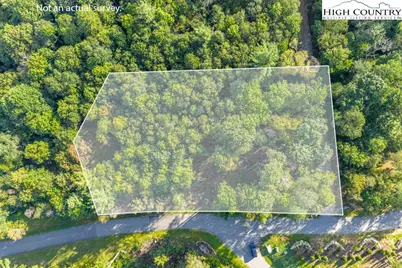 Es49 Rippling Waters Trail, Banner Elk, NC 28604 - Photo 4