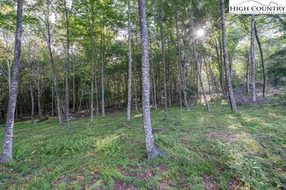 Es49 Rippling Waters Trail, Banner Elk, NC 28604 - Photo 6
