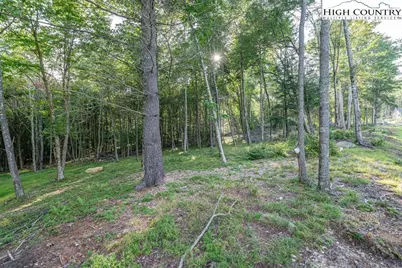 Es49 Rippling Waters Trail, Banner Elk, NC 28604 - Photo 1