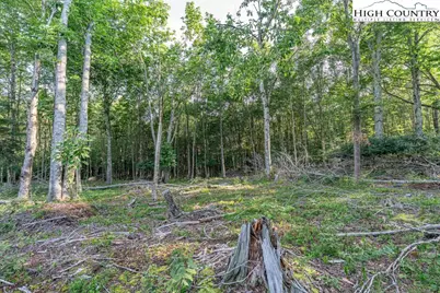 Es49 Rippling Waters Trail, Banner Elk, NC 28604 - Photo 2