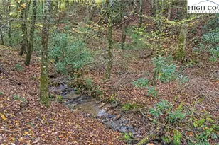 201 Eagles Nest Trl, West Jefferson, NC 28694 - Photo 34