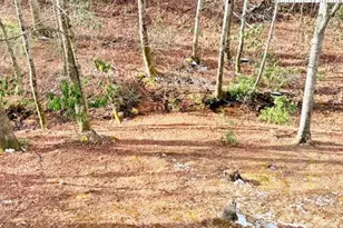 201 Eagles Nest Trl, West Jefferson, NC 28694 - Photo 44