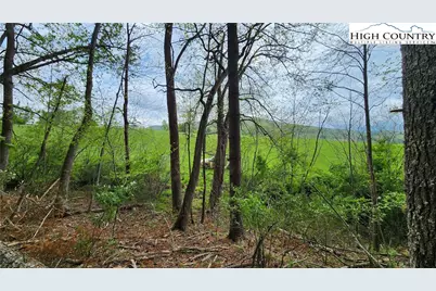 Tbd Hwy 194 Three Mile, Newland, NC 28657 - Photo 8