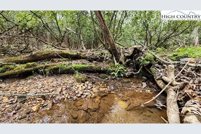 Tbd Hwy 194 Three Mile, Newland, NC 28657 - Photo 4