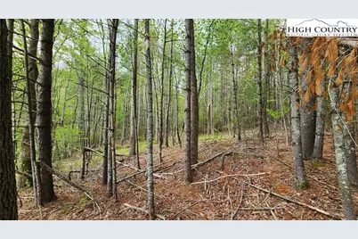 Tbd Hwy 194 Three Mile, Newland, NC 28657 - Photo 6