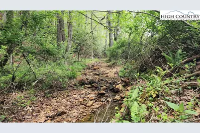 Tbd Hwy 194 Three Mile, Newland, NC 28657 - Photo 10