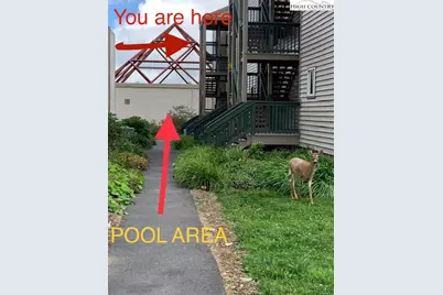 301 Pinnacle Inn Road #1304, Beech Mountain, NC 28604 - Photo 40