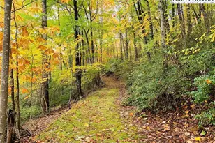 301 Pinnacle Inn Rd, Beech Mountain, NC 28604 - Photo 30