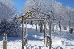 301 Pinnacle Inn Rd, Beech Mountain, NC 28604 - Photo 32