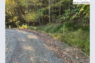 3.59 Acres Mulberry Cove Road, Boone, NC 28607 - Photo 4