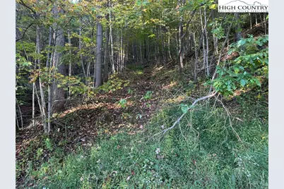 3.59 Acres Mulberry Cove Road, Boone, NC 28607 - Photo 4
