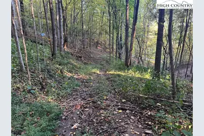 3.59 Acres Mulberry Cove Road, Boone, NC 28607 - Photo 12