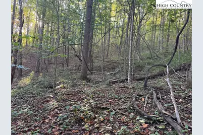 3.59 Acres Mulberry Cove Road, Boone, NC 28607 - Photo 10