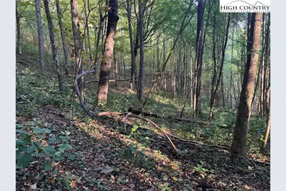 3.59 Acres Mulberry Cove Road, Boone, NC 28607 - Photo 16