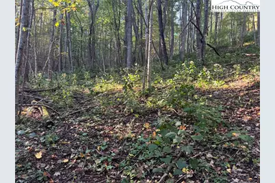 3.59 Acres Mulberry Cove Road, Boone, NC 28607 - Photo 10