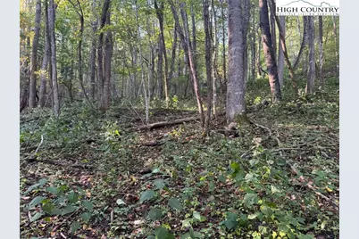 3.59 Acres Mulberry Cove Road, Boone, NC 28607 - Photo 1