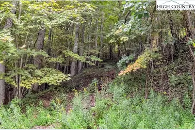 3.59 Acres Mulberry Cove Road, Boone, NC 28607 - Photo 8