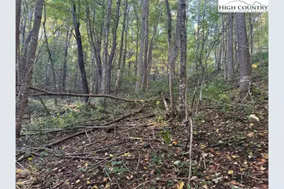 3.59 Acres Mulberry Cove Road, Boone, NC 28607 - Photo 16