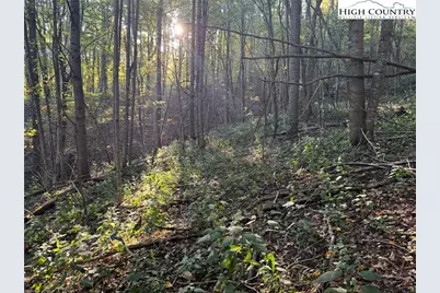 3.59 Acres Mulberry Cove Road, Boone, NC 28607 - Photo 12