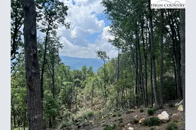 Lot 99 Wildcat Wilderness Parkway, Boone, NC 28607 - Photo 4