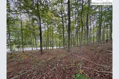 Tbd Bear Paw Road, Elk Park, NC 28622 - Photo 4