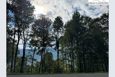 Tbd Bear Paw Road, Elk Park, NC 28622 - Photo 12