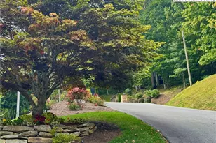 Tbd Bear Paw Rd, Elk Park, NC 28622 - Photo 1