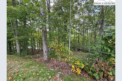 Tbd Bear Paw Road, Elk Park, NC 28622 - Photo 10